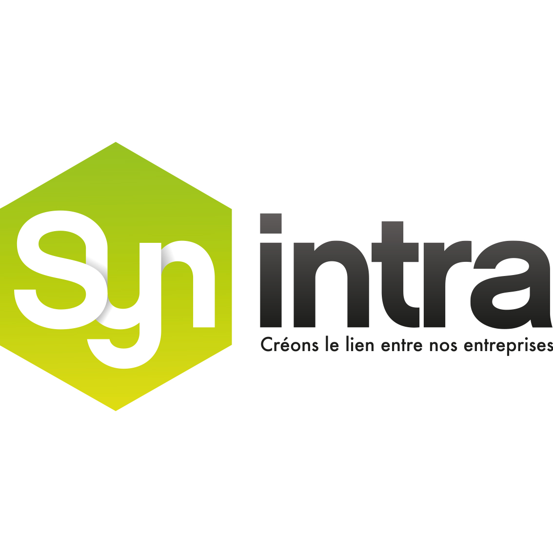 synintra logo synintra