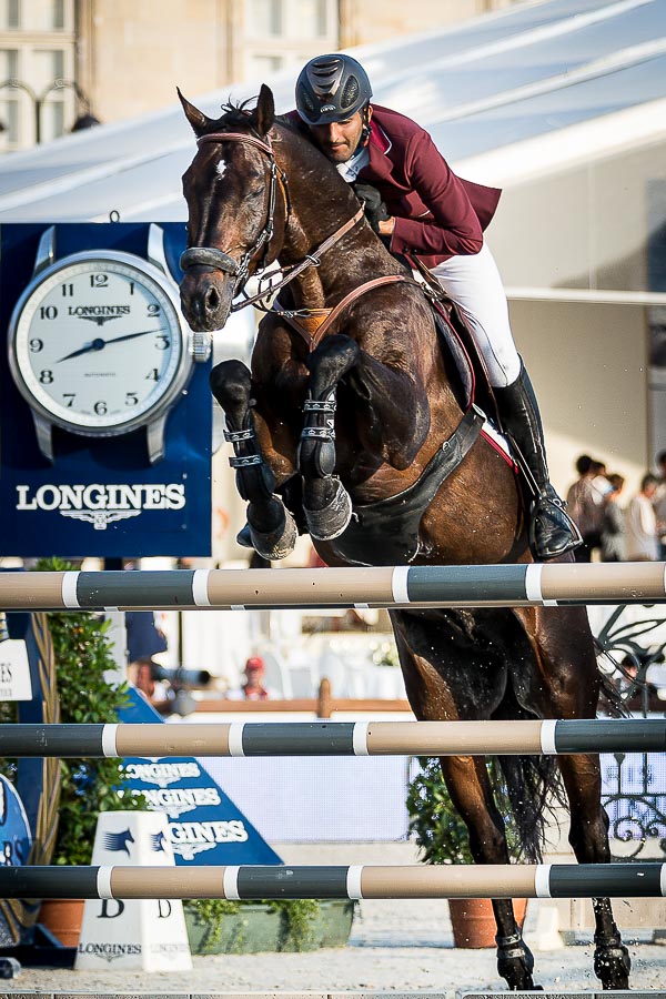 Photographe professionnel équitation